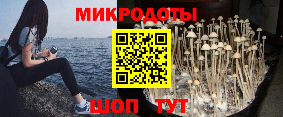 Галлюциногенные грибы Cubensis Каспийск