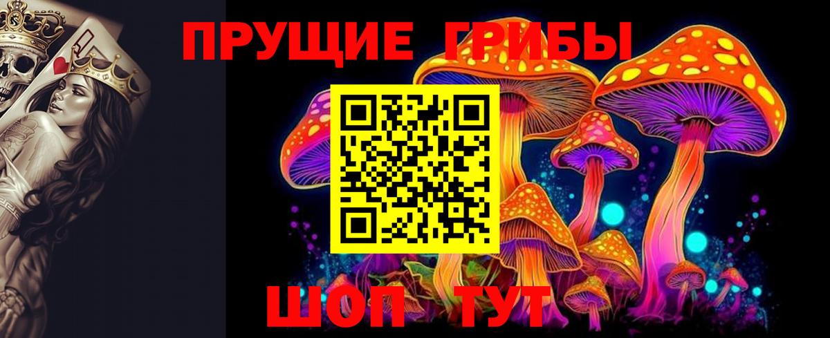 Псилоцибиновые грибы Cubensis  Вход с VPN  Каспийск 